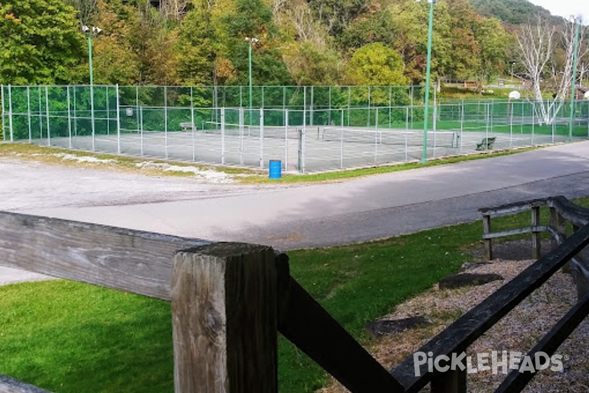 Photo of Pickleball at Butler Memorial Park